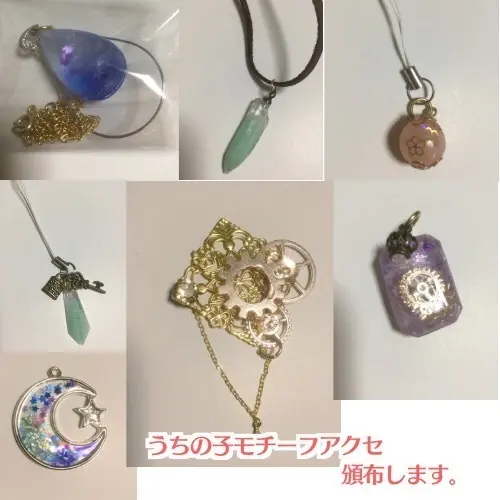 うちの子アクセサリー