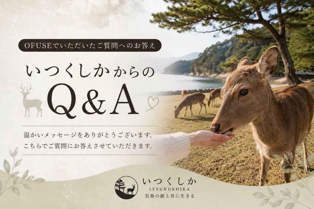 OFUSEで頂いた温かいメッセージへのお返事🦌✨