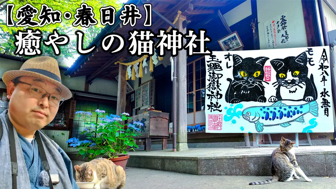 【本日20時プレミア公開】ショートや配信でお届けしてきた秘境「猫神社」、いよいよ本編公開🐈⛩️