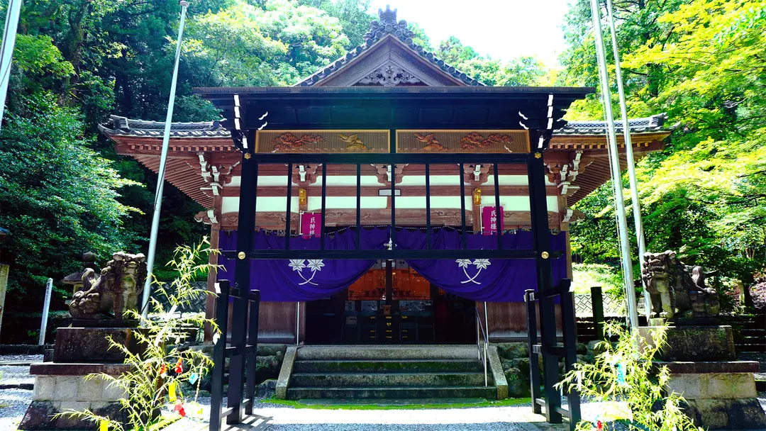 新緑の神社で深呼吸🌿みなさんのお気に入りスポットは？