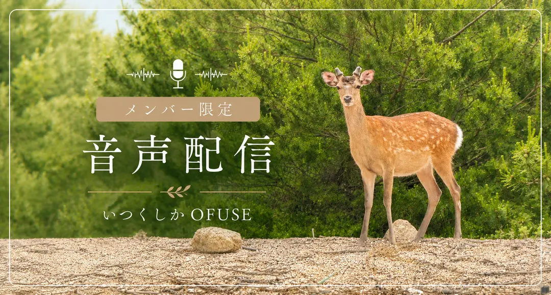 【限定音声】いつくしかサポーターさん限定音声 Vo.2