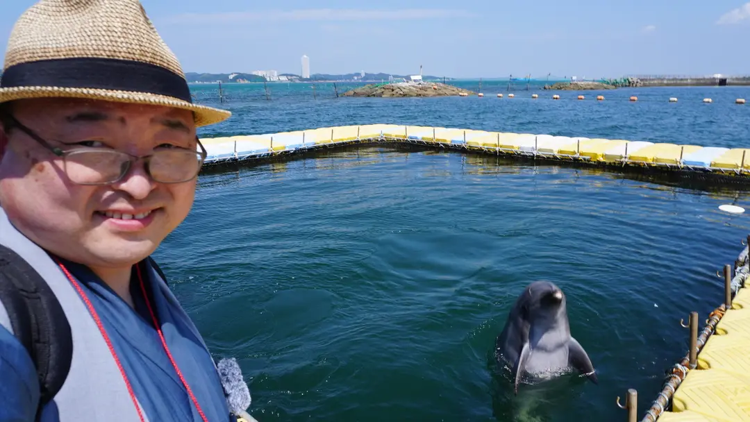 【日間賀島ロケ報告 第1弾】島への上陸と、奇跡のイルカツーショット！