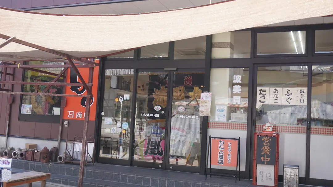 日間賀島ロケ第2弾！絶品タコと、炎天下のハプニング🐙🐈