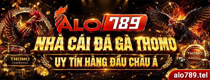ALO789 khẳng định chất lượng với nền tảng giải trí trực tuyến liên tục đổi mới