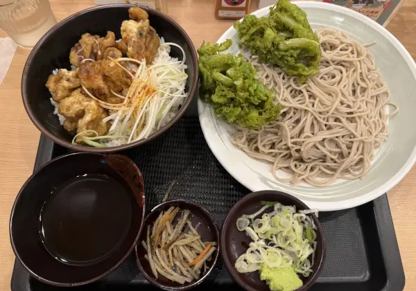 ブログに貼る画像について模索中……