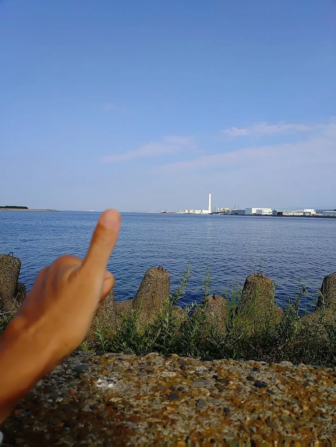 【ジョグ記8月号】ダブルWRへの道 序 #1