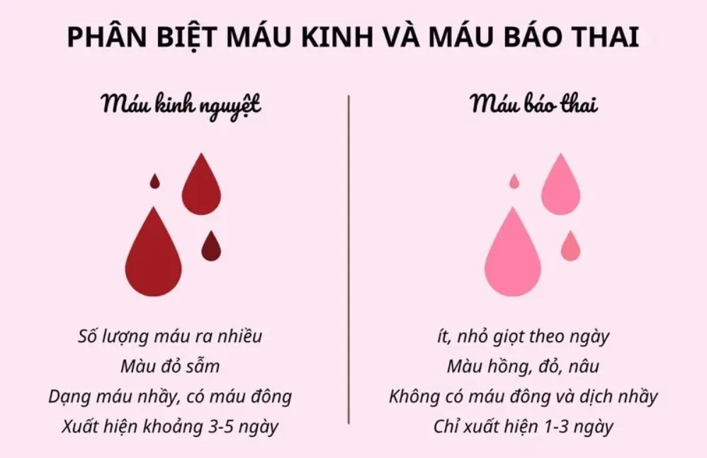 Máu kinh và máu báo thai khác nhau thế nào? Giải đáp chi tiết