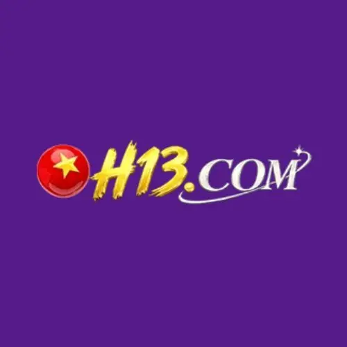 H13