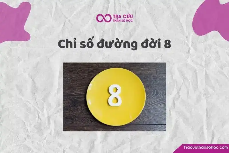 Chỉ số đường đời 8 là gì? Đặc điểm tính cách, tình duyên và sự nghiệp số chủ đạo 8