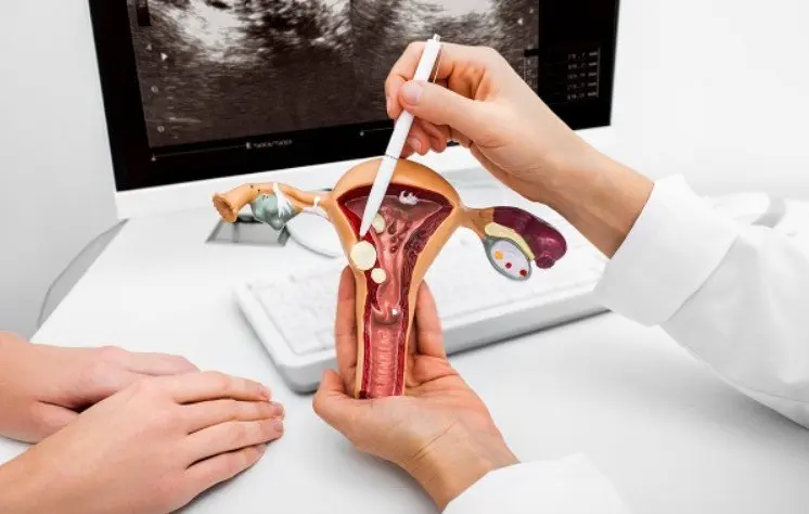Khám phụ khoa ở Hà Nội và những tiêu chí lựa chọn địa chỉ phù hợp