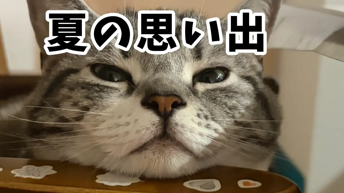 なーつのおーわーりー(※実写あり)