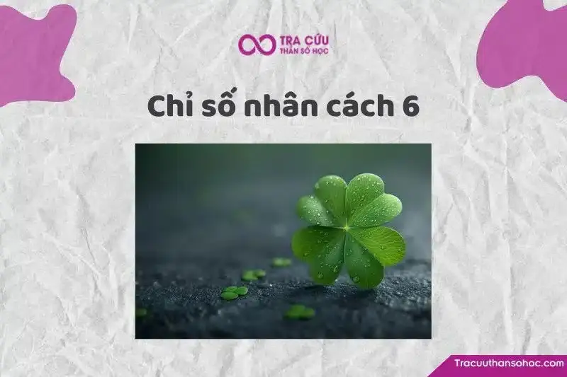 Chỉ số nhân cách 6 là gì? Đặc điểm tính cách và con đường phát triển