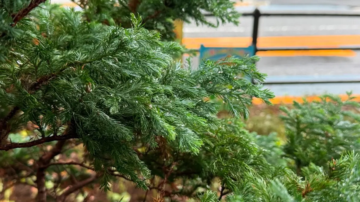 こんな雨の日だからこそ🌀
