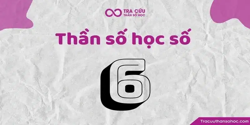 Thần số học số 6 hợp với số nào? Tình yêu và sự nghiệp