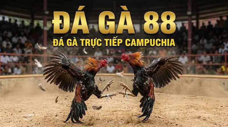 Upamecano và hành trình khẳng định vị trí