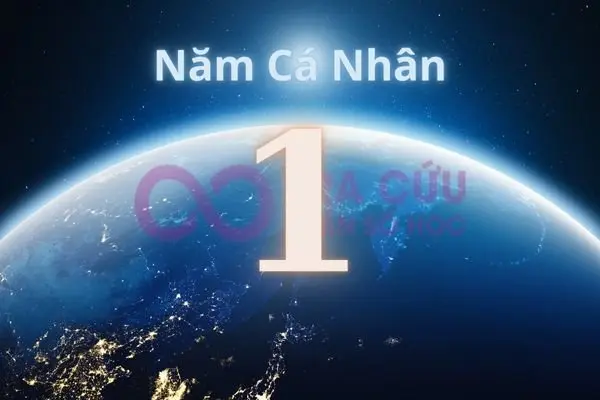Năm cá nhân số 1 năm 2025 | Khởi đầu đánh thức tiềm năng bên trong bạn