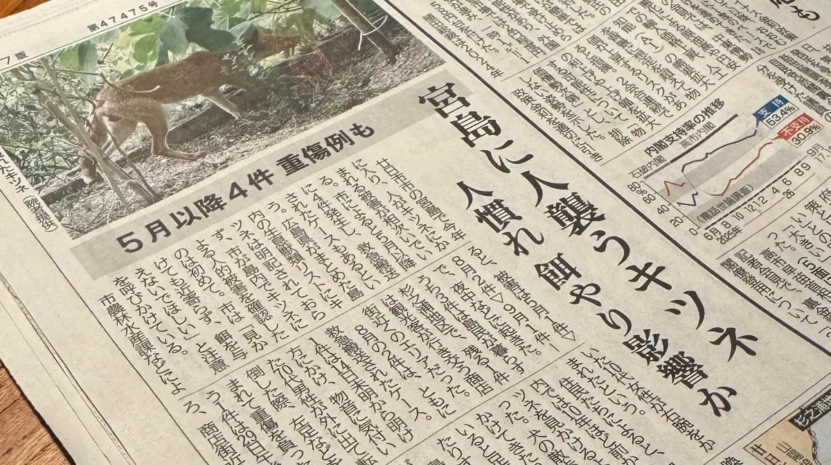 【動画】宮島のキツネ報道に関するご報告