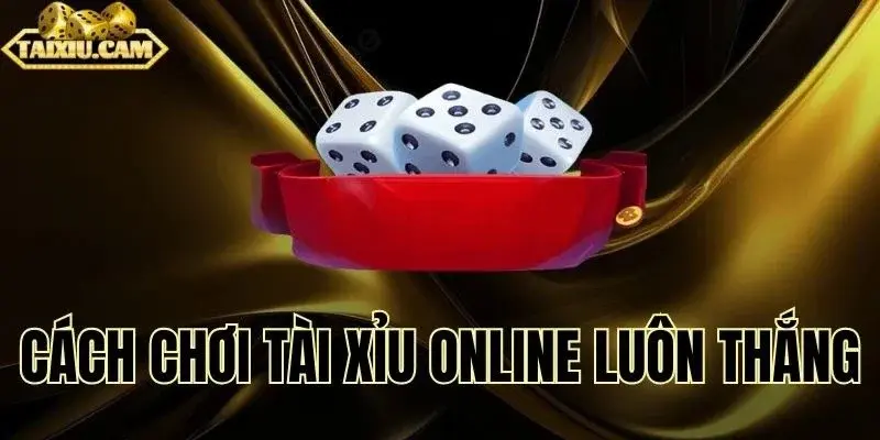 Mẹo Nhận Biết Sai Lầm Khi Chơi Tài Xỉu