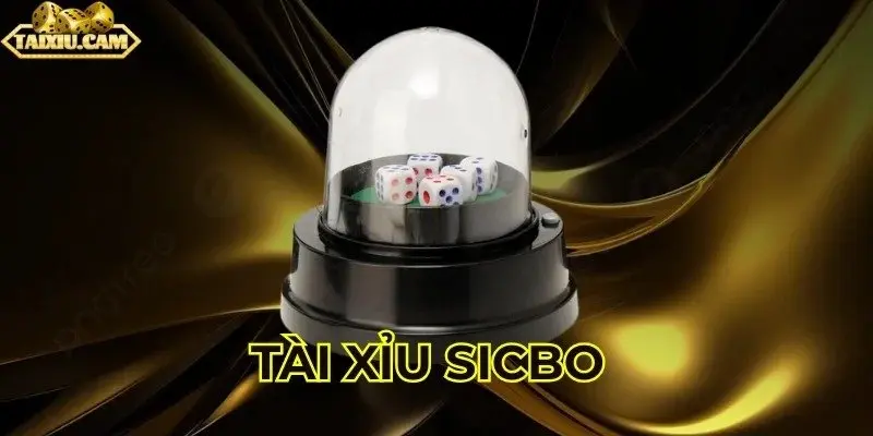 Cách chơi Tài xỉu Sicbo cơ bản