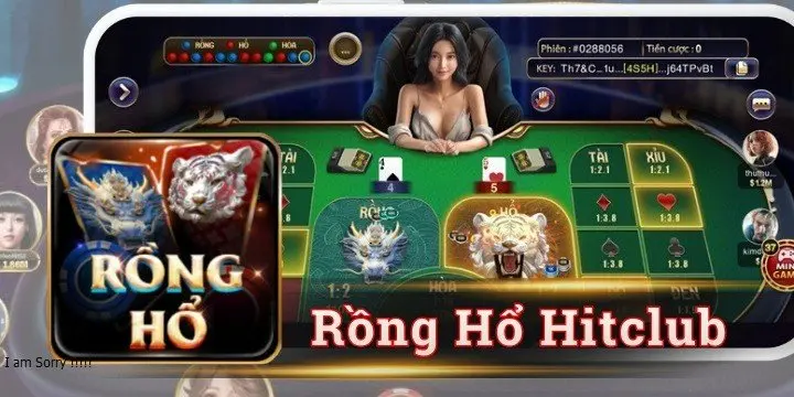 Rồng Hổ Hitclub và cách chơi dành cho người mới