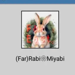 User Icon