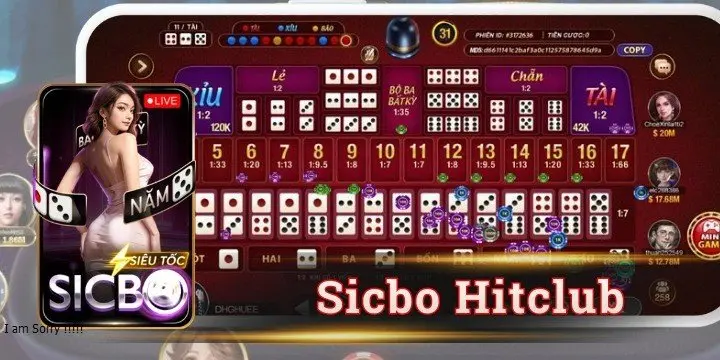 Sicbo Hitclub và cách tìm hiểu luật chơi cơ bản