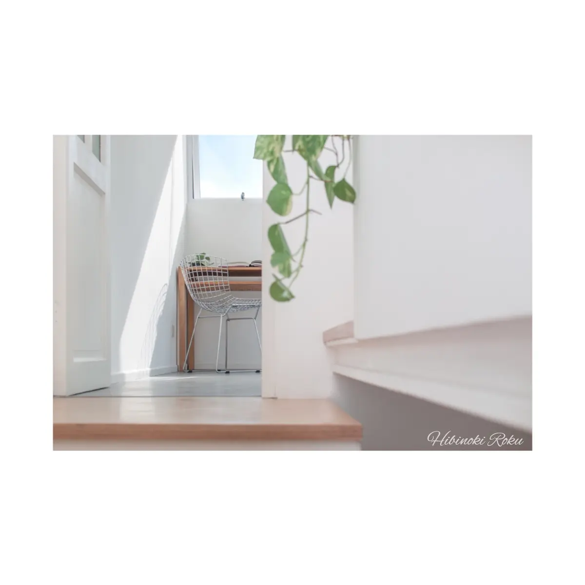 日々ノ樹 ロク。/ Roku Hibinoki.