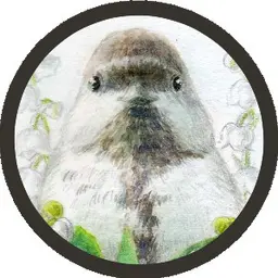 User Icon