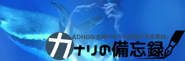 ブログ開設。