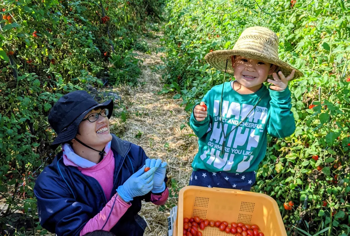 オンライン食育で子供の世界を広げませんか