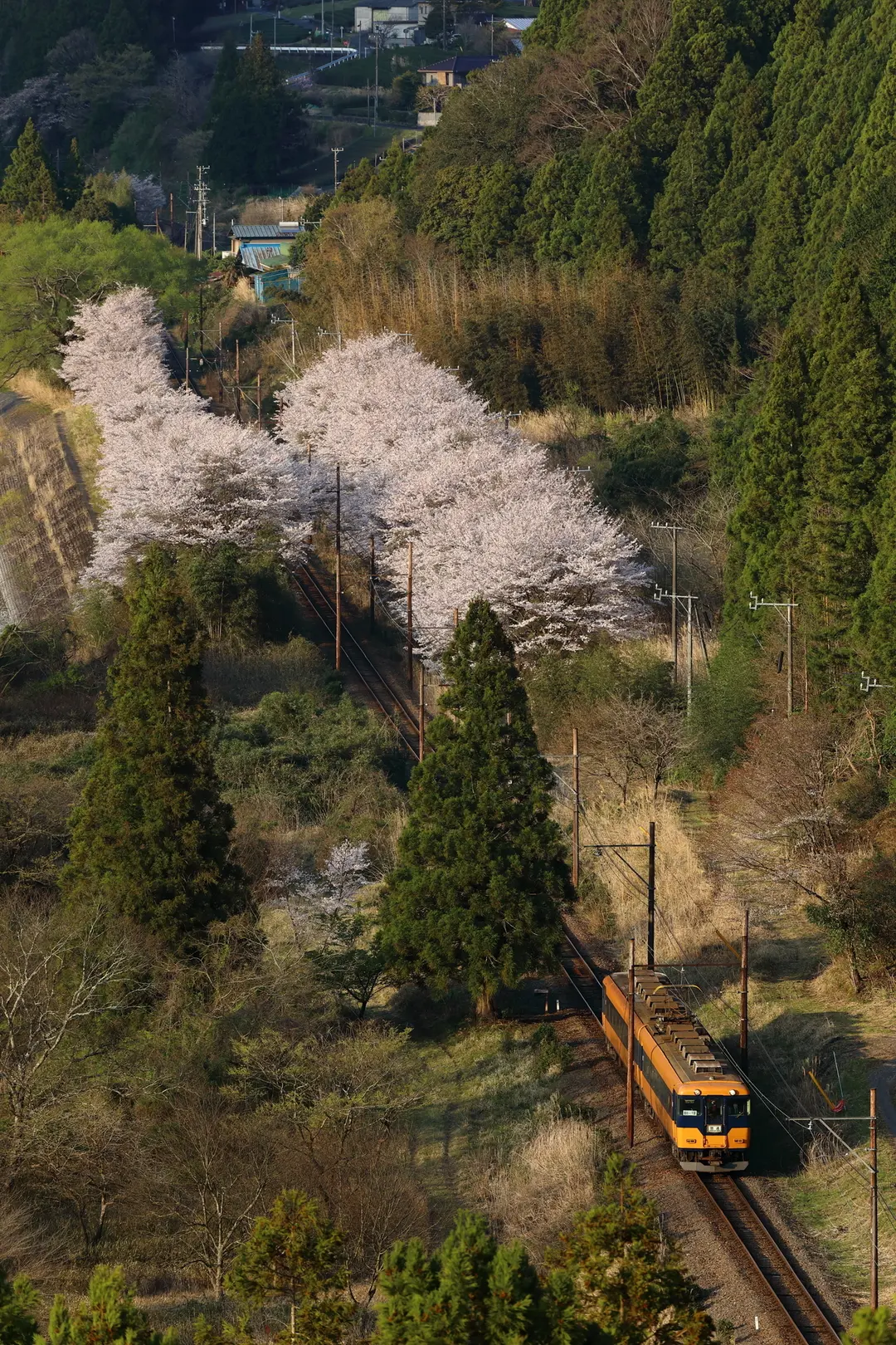 大井川鐵道　駿河徳山～田野口にて
