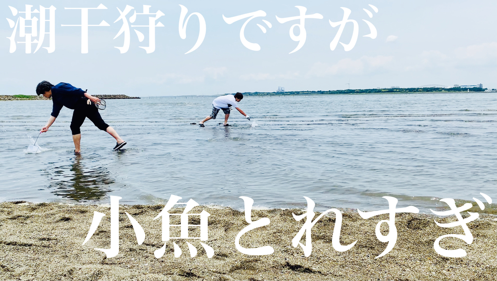 私は貝を採りたい③