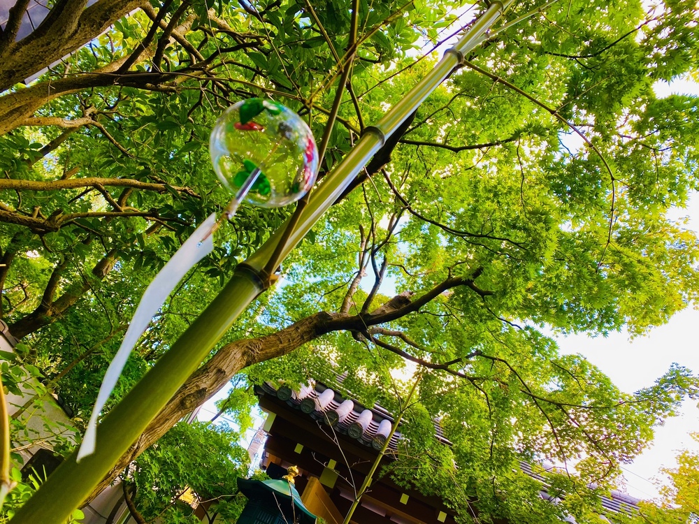 残暑お見舞い申し上げます