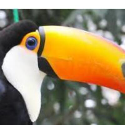 User Icon