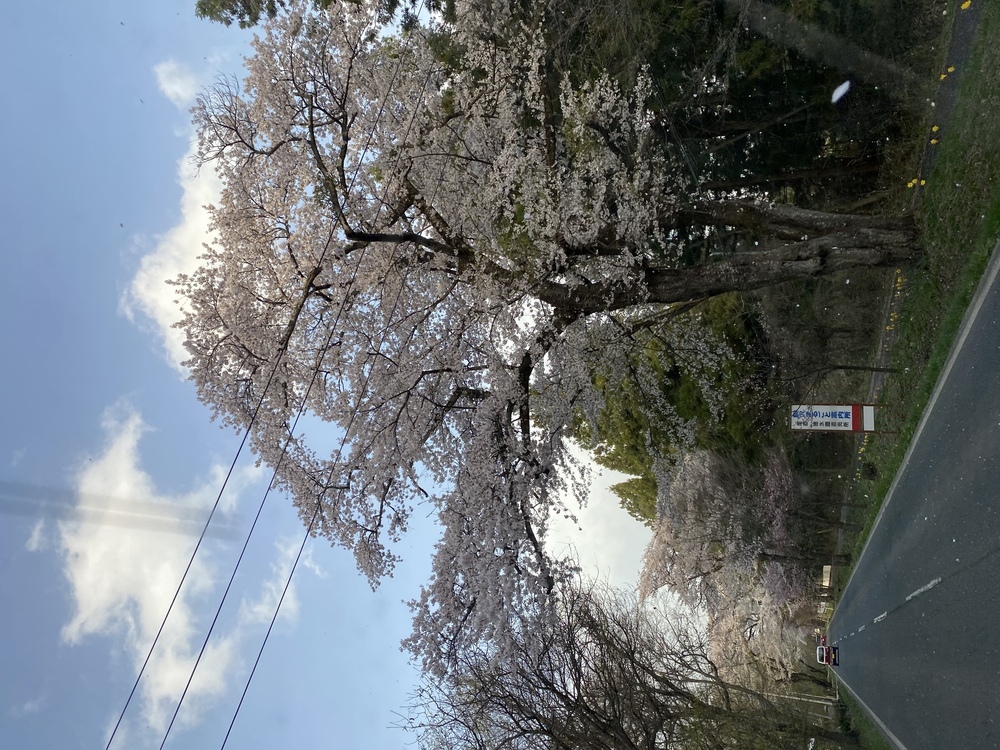 育苗プールと育苗機