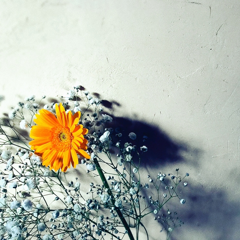 コメント欄設置用記事。