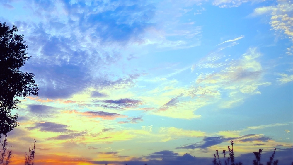 ファンレターありがとうございます！