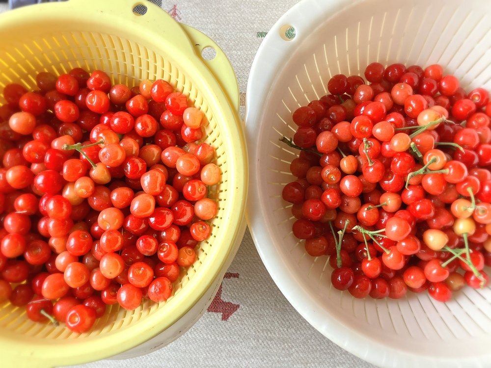 プロフィール欄に書けなった