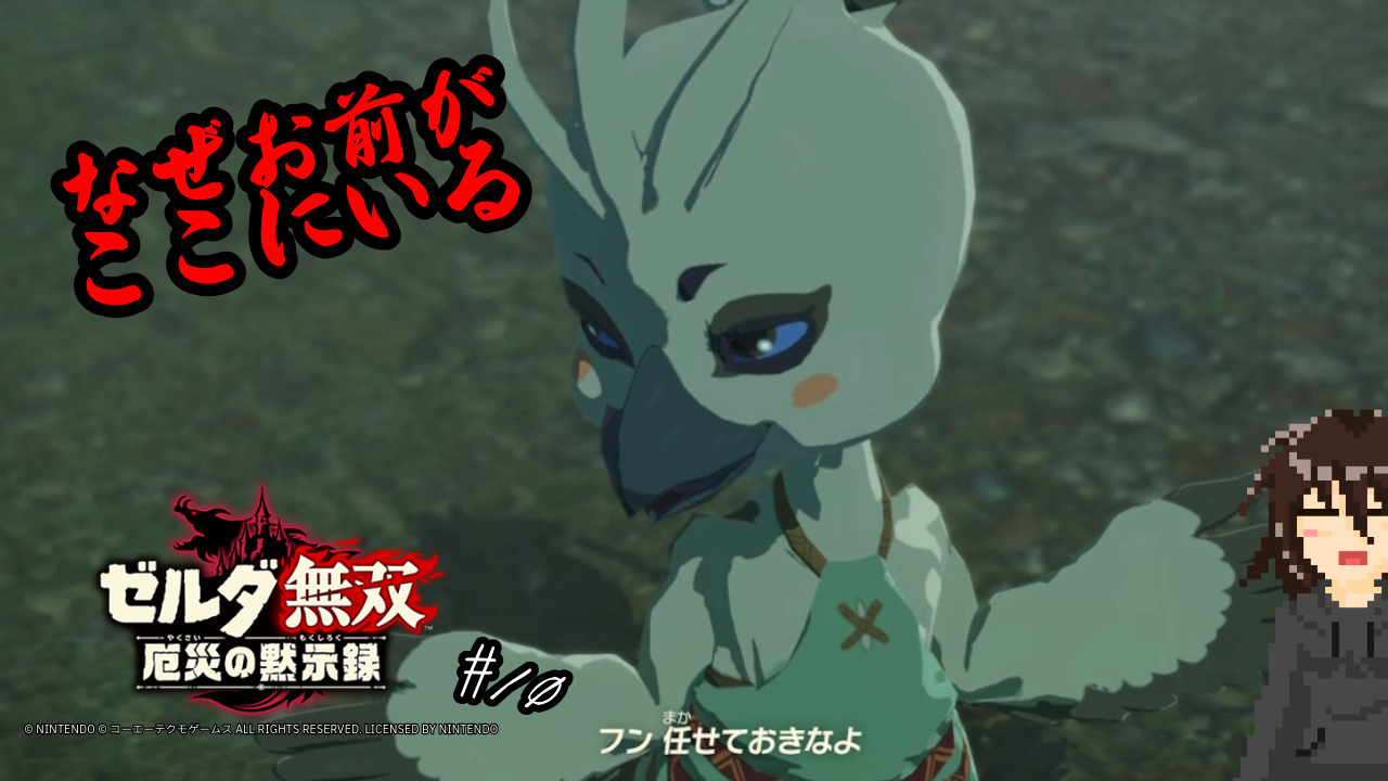 ゼルダ無双 厄災の黙示録 ゼルダ無双 厄災の黙示録 | My Nintendo Store（マイ