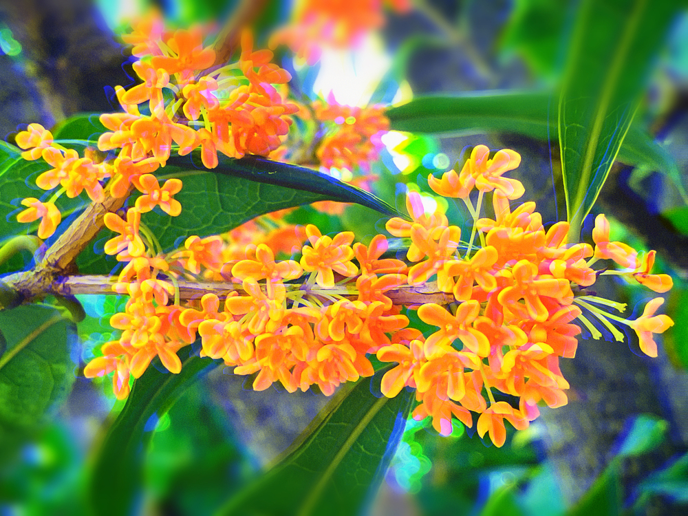 【近況】10月の活動報告