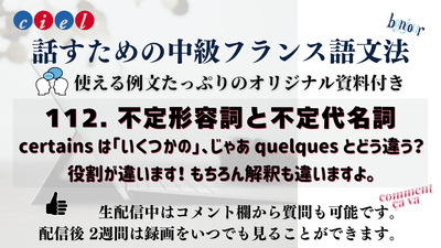話すための中級フランス語文法「112. 不定形容詞と不定代名詞