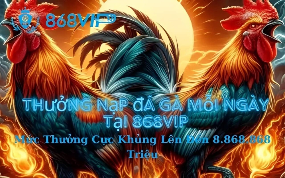 Khuyến Mãi Thưởng Nạp Đá Gà Mỗi Ngày Tại 868VIP
