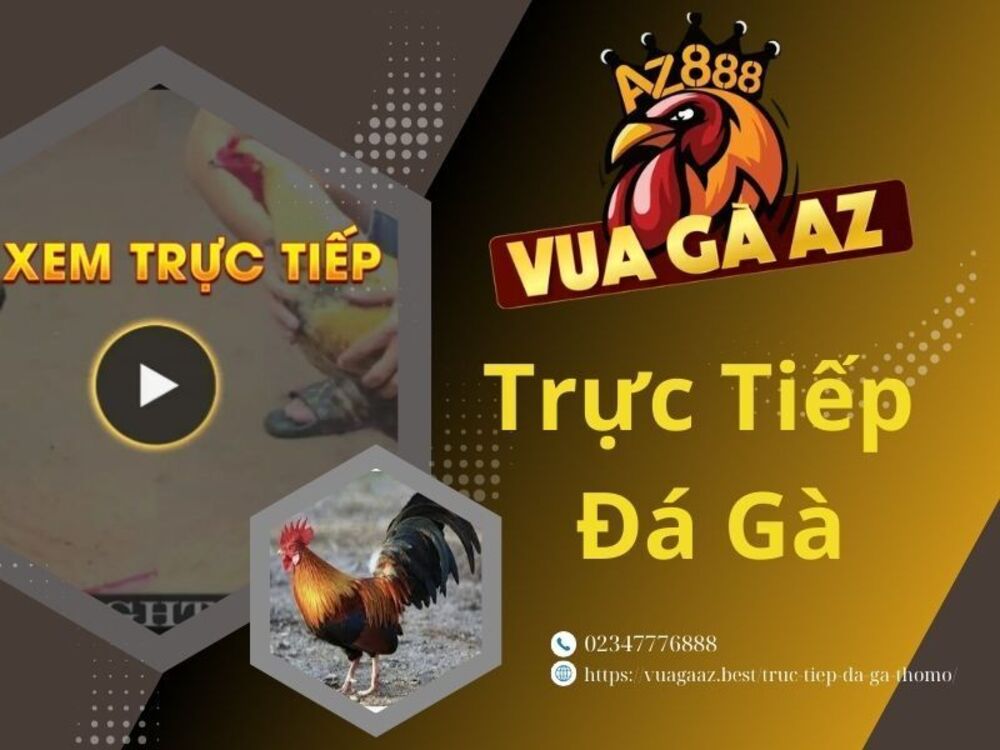 Những Ưu Điểm Khi Xem Trực Tiếp Đá Gà Thomo Tại Vua Gà AZ