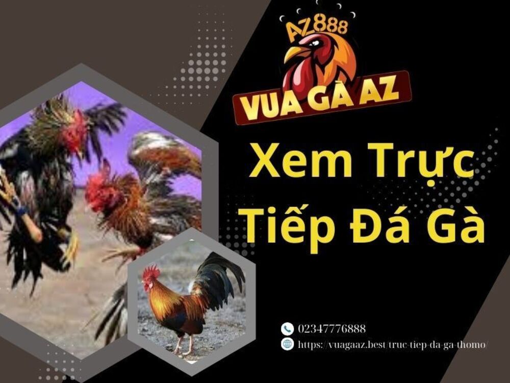 Phát Trực Tiếp Đá Gà Campuchia Hôm Nay Tại Vua Gà AZ