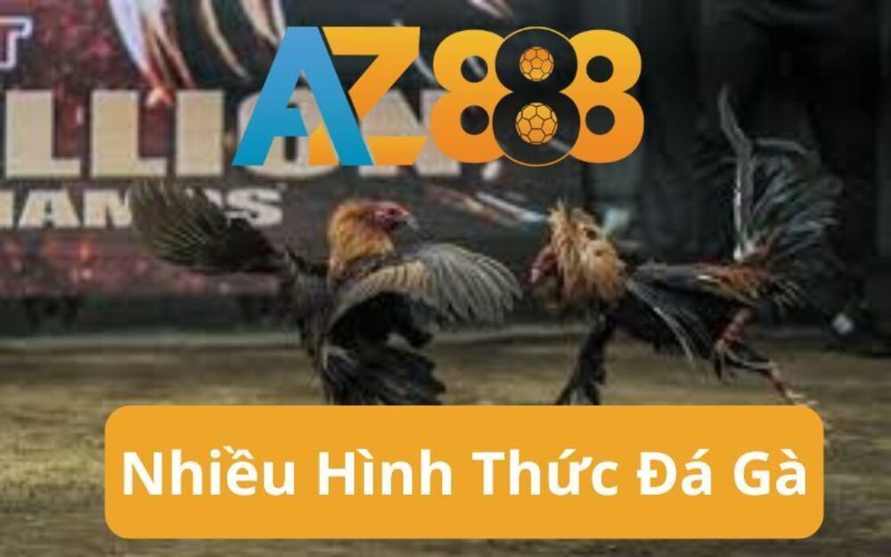 Cá Cược Đá Gà Tại AZ888 - Sân Chơi Cá Cược Uy Tín Nhất Hiện Nay