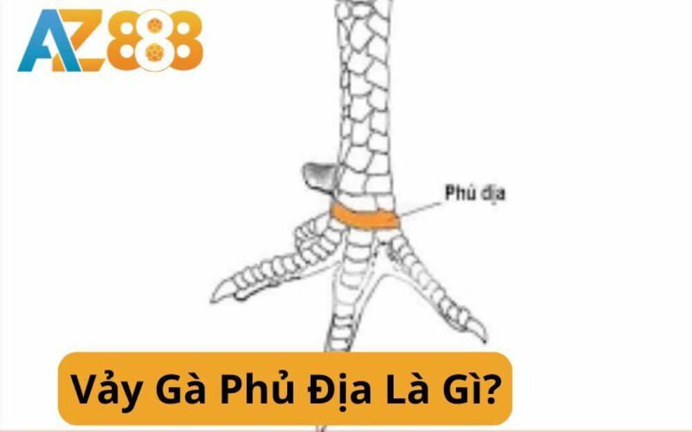 Vảy Gà Phủ Địa Là Gì? Hướng Dẫn Cách Xem Chi Tiết Tại AZ888