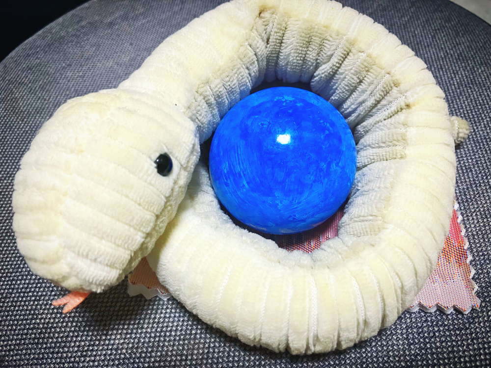 【近況】12月の活動報告