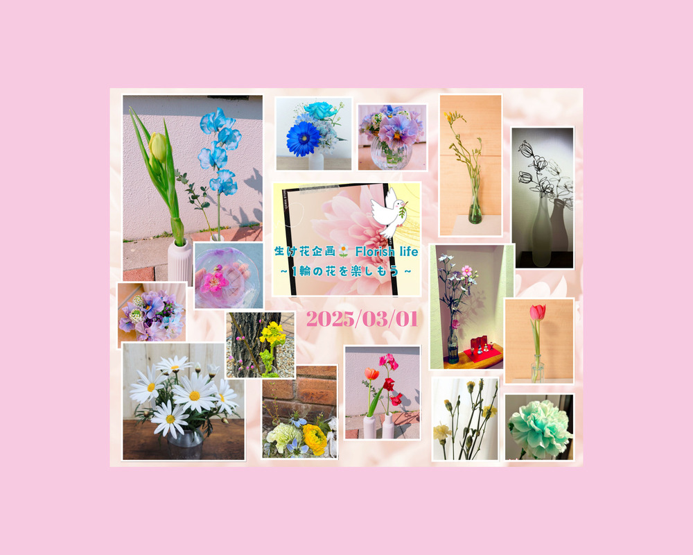 【3月のご挨拶🌸】おすすめの過ごし方