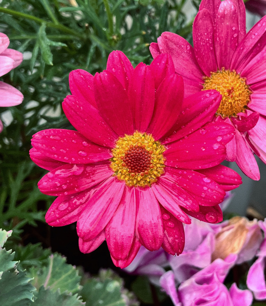 【近況】3月の活動報告