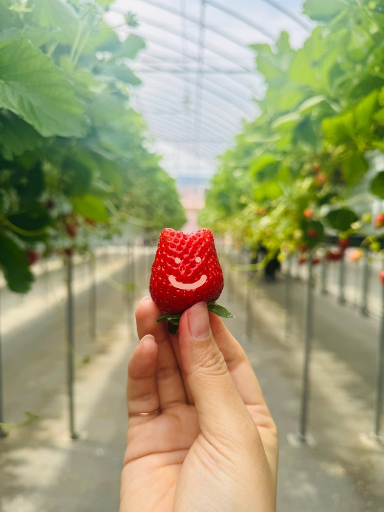 GWいかがお過ごしですか？🍓